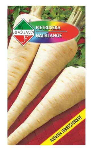 Pietruszka Halblange Berlińska 5g Spójnia