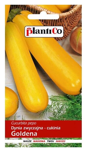 Cukinia Goldena 3g Plantico