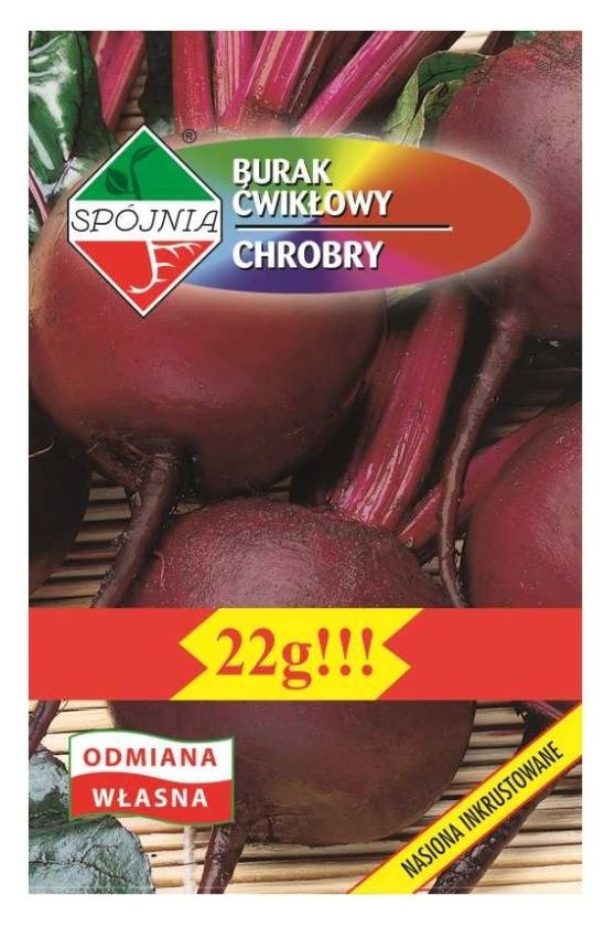 Burak ćwikłowy Chrobry 22g Spójnia
