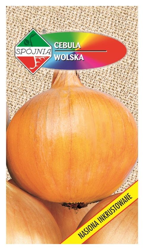 Cebula Wolska 5g Spójnia