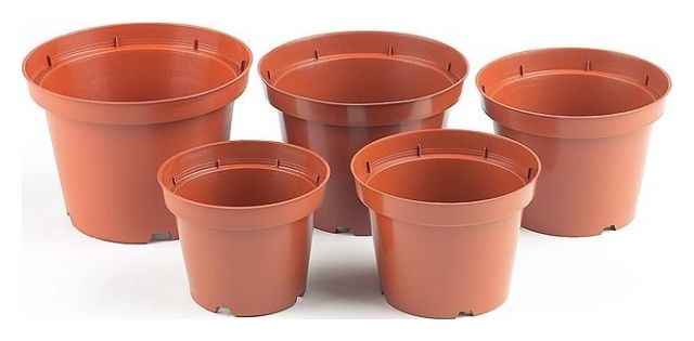 Doniczka produkcyjna PBN terrakota 100 sztuk Interplast