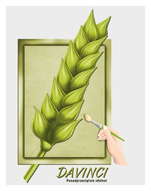 Pszenica zwyczajna ozima Davinci C1 BB 1000Kg