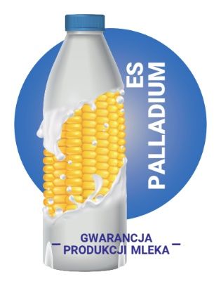 Kukurydza ES Palladium F1 C1 50 tyś Korit Lidea