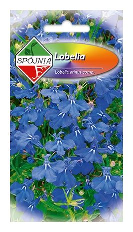 Lobelia zwisająca fioletowa 0,5g Spójnia