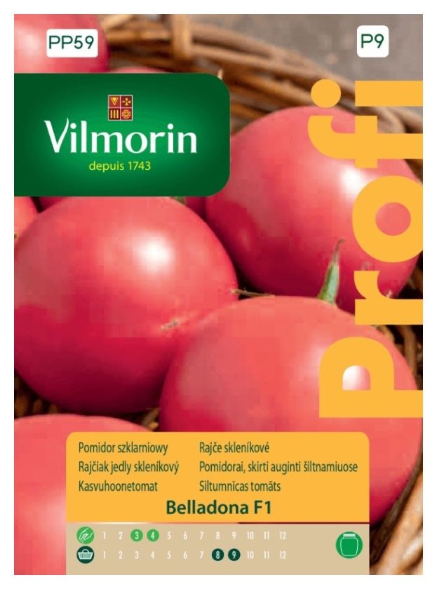 Pomidor Belladona F1 8 sztuk Vilmorin