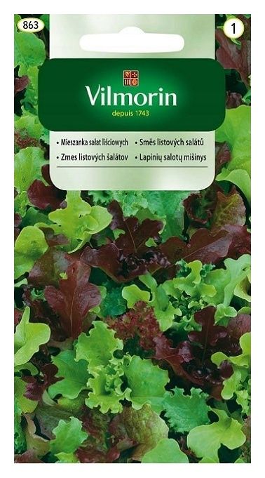Mieszanka sałat liściowych 0,5 g Vilmorin