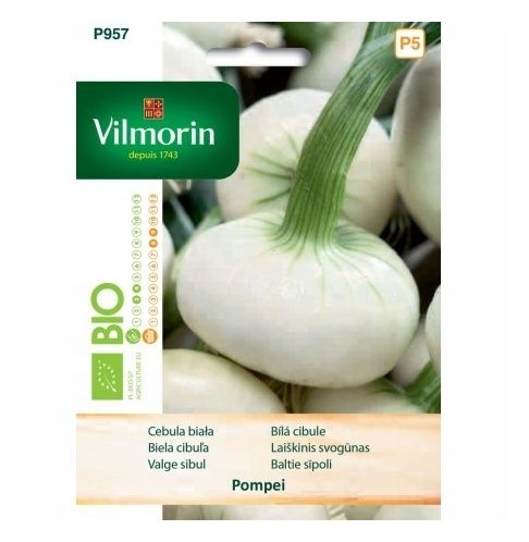 Cebula biała Pompei Bio 2g Vilmorin