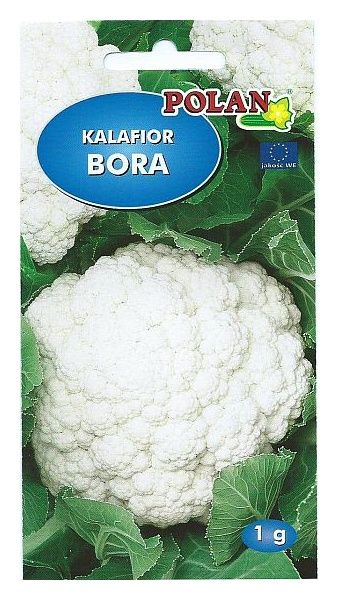 Kalafior Bora 10g Plantico