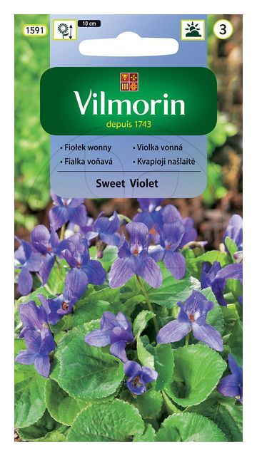 Fiołek wonny Sweet Violet 0,3g Vilmorin
