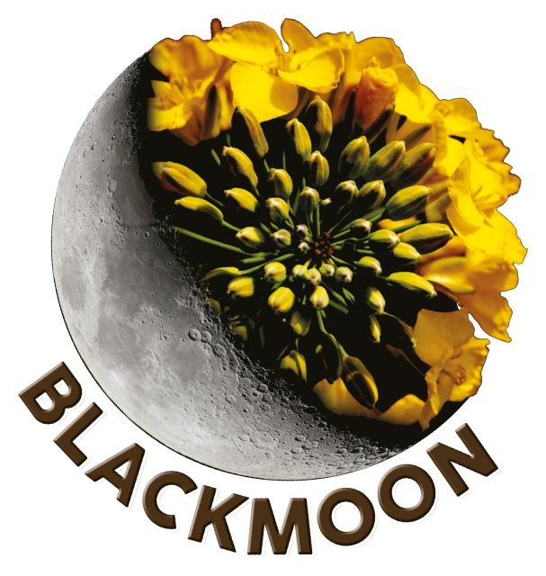 Rzepak ozimy RGT BLACKMOON F1 C1 Scenic Gold + Buteo Start RAGT