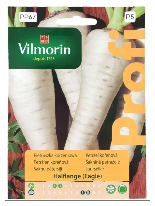 Pietruszka Halflange Eagle 3g Vilmorin