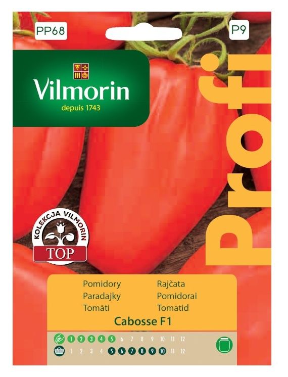 Pomidor Cabosse F1 6 nasion Vilmorin