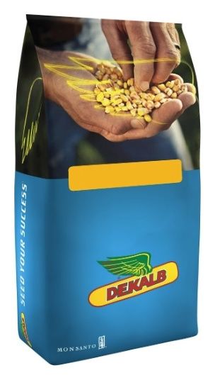 Kukurydza DKC 3719 F1 50 tyś C1 Bayer