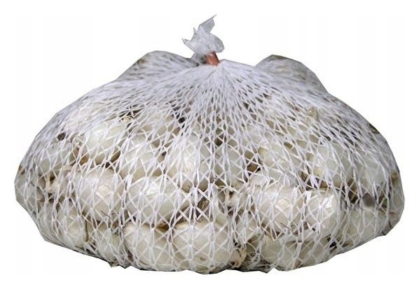 Cebula Dymka Snowball 300g GMF Group