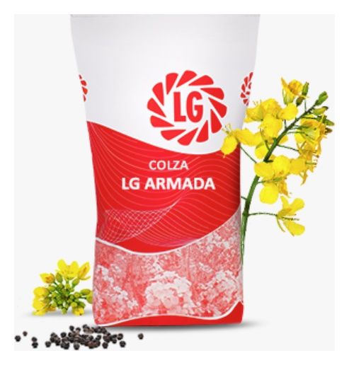 Rzepak ozimy LG Armada F1 C1 Scenic Gold + Lumiposa Limagrain