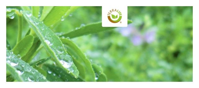 Mieszanka międzyplonowa Terralife N-Fixx 25Kg DSV