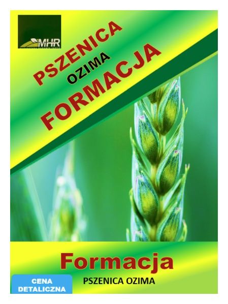 Pszenica zwyczajna ozima Formacja C1 BB 1000Kg MHR