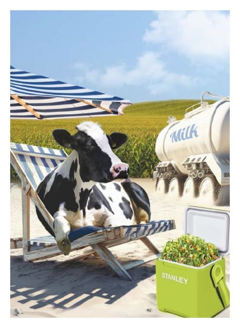 Kukurydza Stanley F1 C1 50 tyś Maisadour