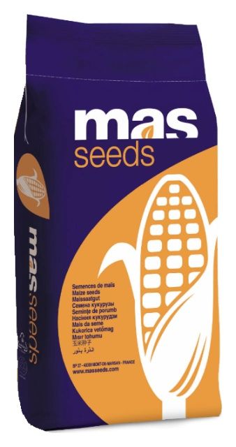 Kukurydza Mas 400D F1 C1 50 tyś Maisadour