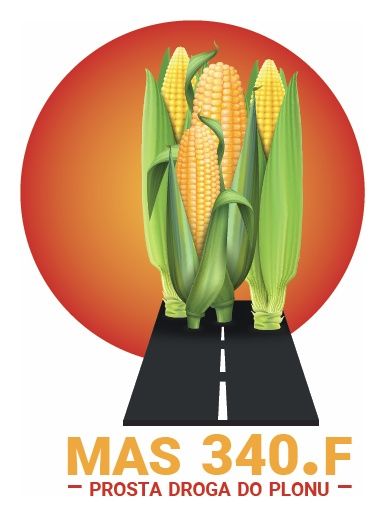 Kukurydza Mas 340.F 50 tyś C1 Korit Maisadour