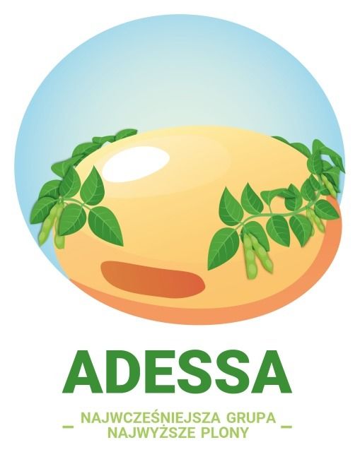 Soja Adessa C1 150 tyś Saatbau