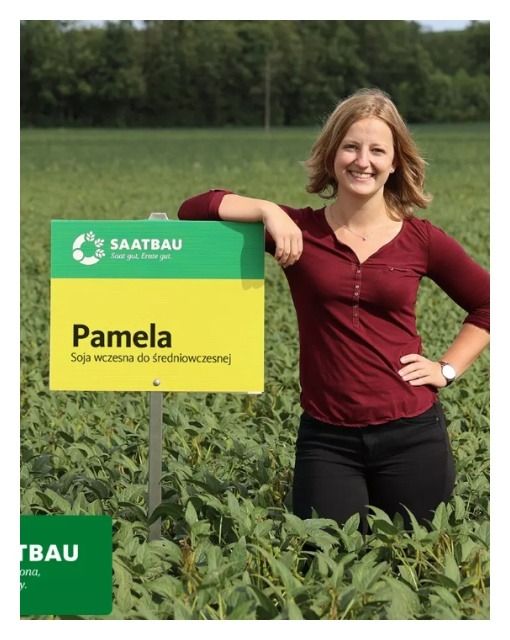 Soja Pamela C1 150 tyś Saatbau