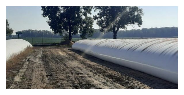 Rękaw foliowy rolniczy ErgBag 3 m x 60 m Erg Bieruń