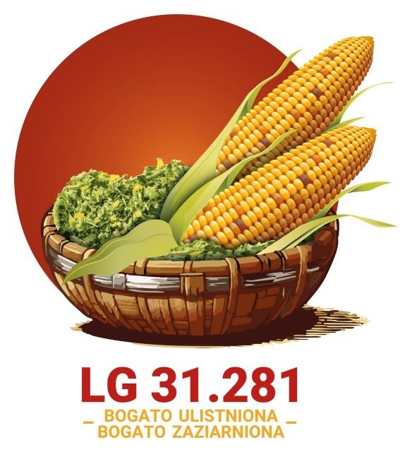 Kukurydza LG 31.281 F1 C1 50 tyś Force Limagrain