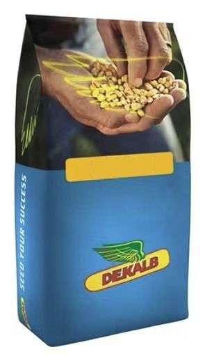 Kukurydza DKC 4125 F1 C1 50 tyś +B360 Bayer