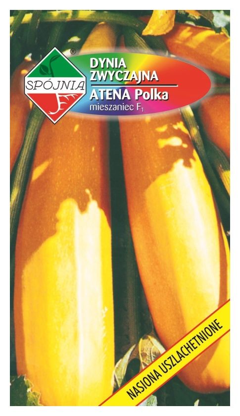Dynia zwykła Atena Polka 2g Spójnia