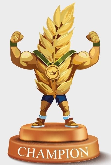 Pszenica zwyczajna ozima Champion C1 BB