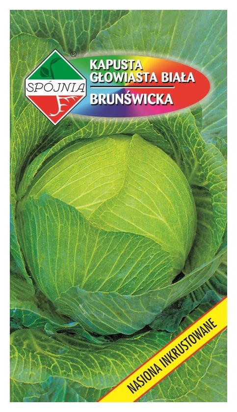 Kapusta głowiasta biała Brunświcka 1g Spójnia