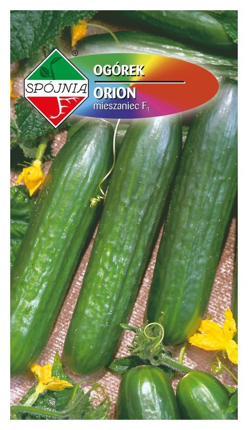 Ogórek Orion F1 1g Spójnia