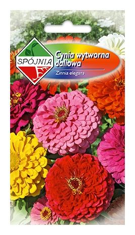 Cynia daliowa mix 1g Spójnia