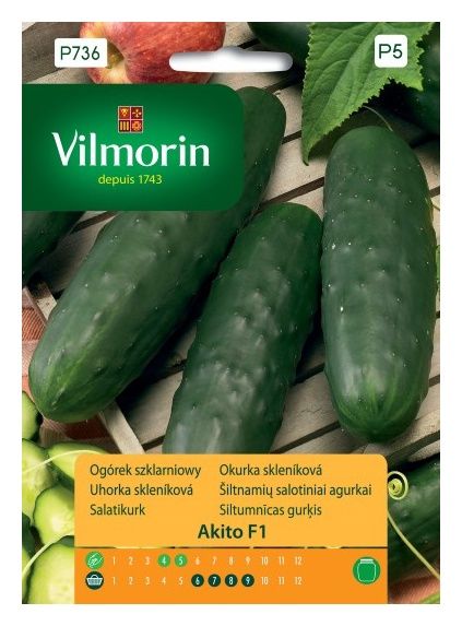 Ogórek AKITO F1 szklarniowy 10sztuk Vilmorin