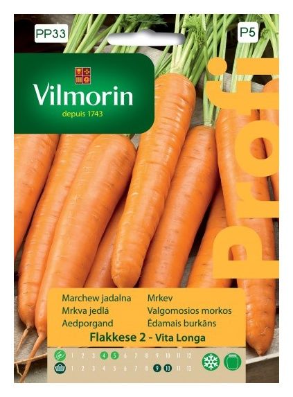 Marchew Flakkese 2 - Vita Longa F1 2g Vilmorin