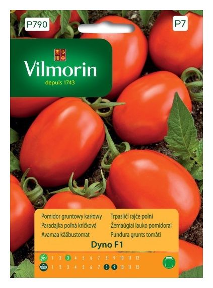 Pomidor Dyno F1 gruntowy karłowy 8 nasion Vilmorin