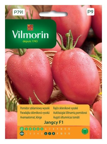 Pomidor Jangcy F1 malinowy szklarniowy 7 nasion Vilmorin