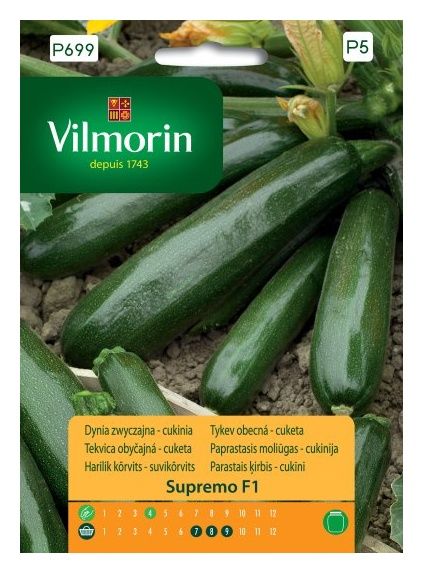 Dynia Zwyczajna Supremo F1 cukinia 8 nasion Vilmorin