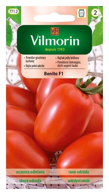 Pomidor Benito F1 gruntowy karłowy 10 nasion Vilmorin