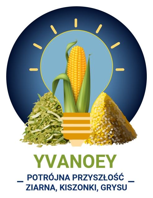 Kukurydza Yvanoey F1 C1 50 tyś Limagrain