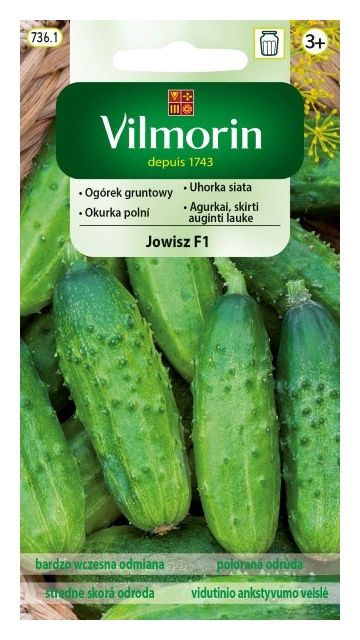 Ogórek Jowisz F1 gruntowy 3g Vilmorin