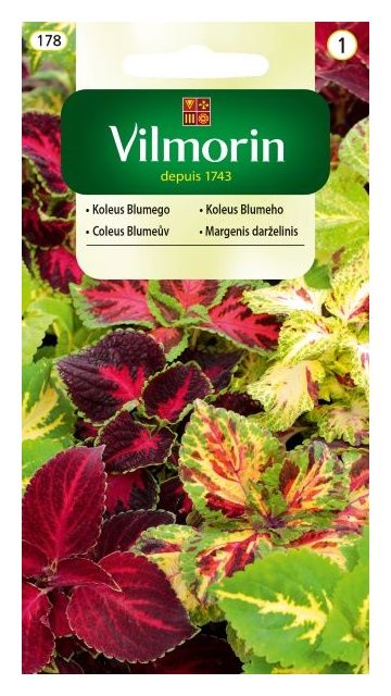 Koleus Blumego 0,2g Vilmorin