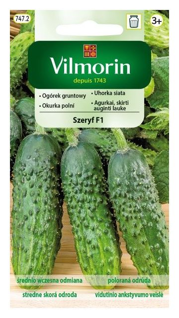 Ogórek Szeryf F1 gruntowy 3g Vilmorin