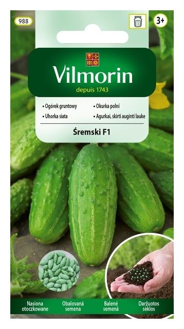 Ogórek Śremski F1 45 sztuk Vilmorin