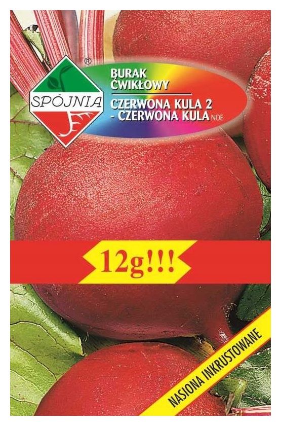 Burak ćwikłowy Czerwona Kula 12g Spójnia
