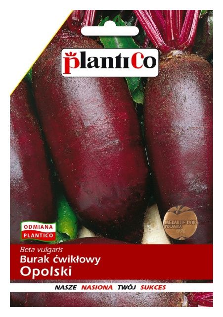 Burak ćwikłowy OPOLSKI PlantiCo