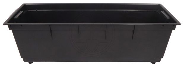 Wkład do kwietnika Begonia Lamela 