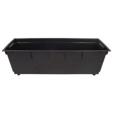 Wkład do kwietnika Begonia Lamela