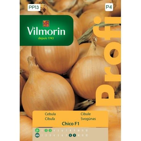 Cebula żółta Chico F1 2g Vilmorin